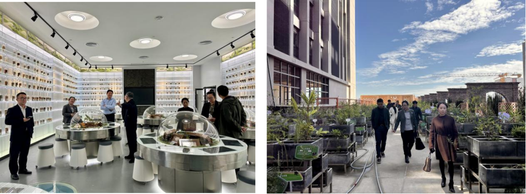 图片6.png 图片6.png