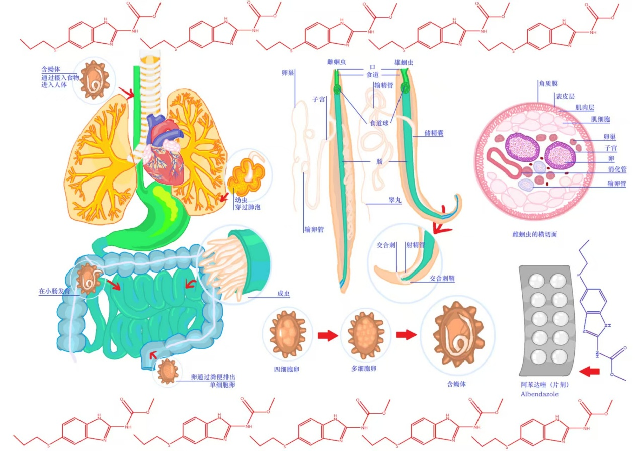 图片3.png 图片3.png