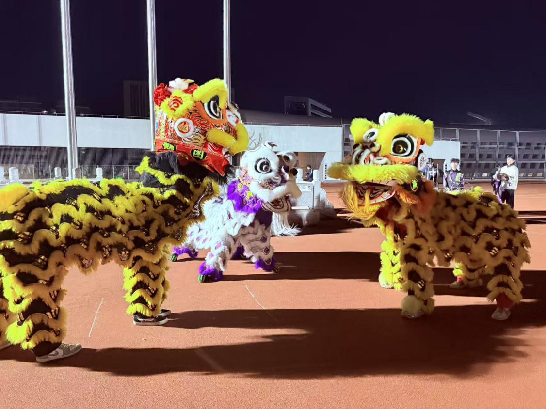 028fc45776163ce6f6a035ad0bfa7f04 028fc45776163ce6f6a035ad0bfa7f04