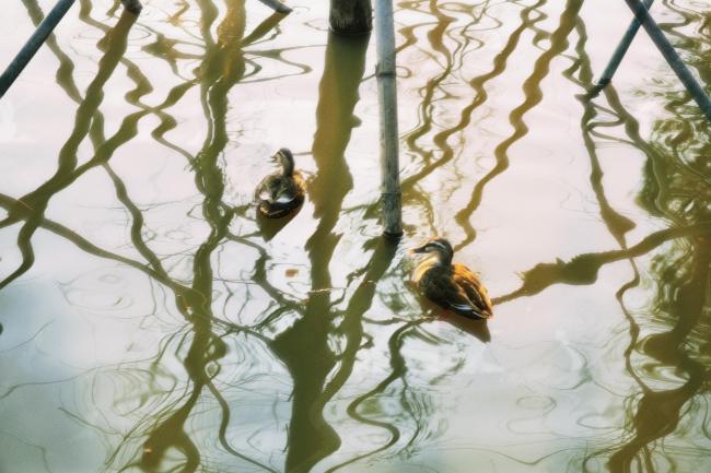 C:/Users/HUAWEI/Pictures/新建文件夹 (3)/创意摄影(1).jpg创意摄影(1)